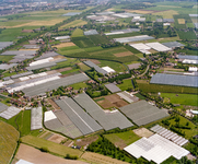840453 Luchtfoto van het tuinbouwgebied met kassen in de omgeving van de Alendorperweg en Utrechtseweg te Vleuten ...